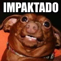 Meme Personalizado Impaktado