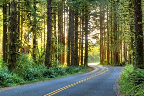 The Ultimate Washington Road Trip Itinerary Road Trip Fun Washington