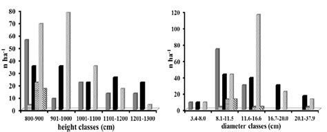 Frequency Distribution Of A Campestre And C Mas Woody Species In