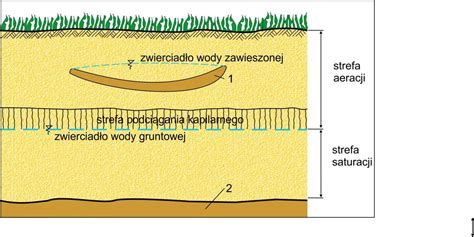 Woda Gruntowa In Ynieria Rodowiska