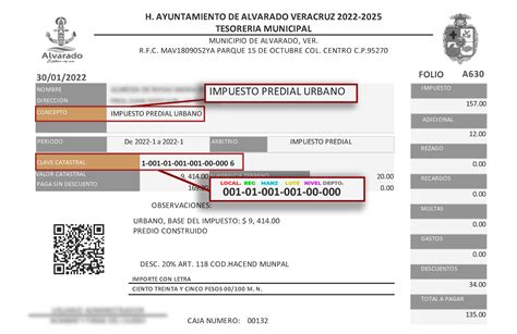 Plantilla De Pago En Excel Derechoenmexicomx Images Hot Sex Picture