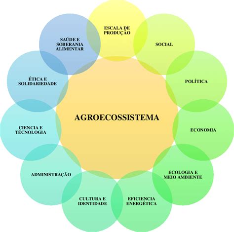 Dimensões estratégicas para introdução da agroecologia em territórios