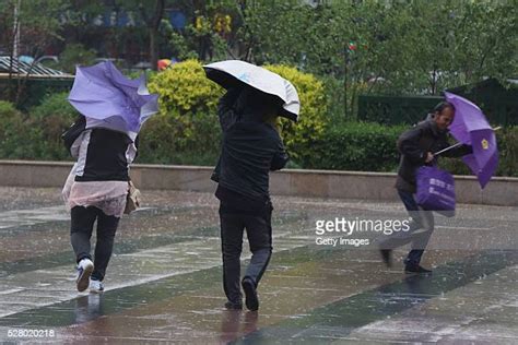 Heavy Wind And Rain Photos And Premium High Res Pictures Getty Images