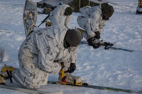 The CADPAT Story: Canada finds sweet spot with new camouflage ...