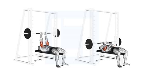 Smith Close Grip Bench Press Guide Benefits And Form