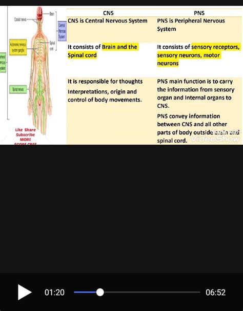 Pin On Grade V SCIENCE