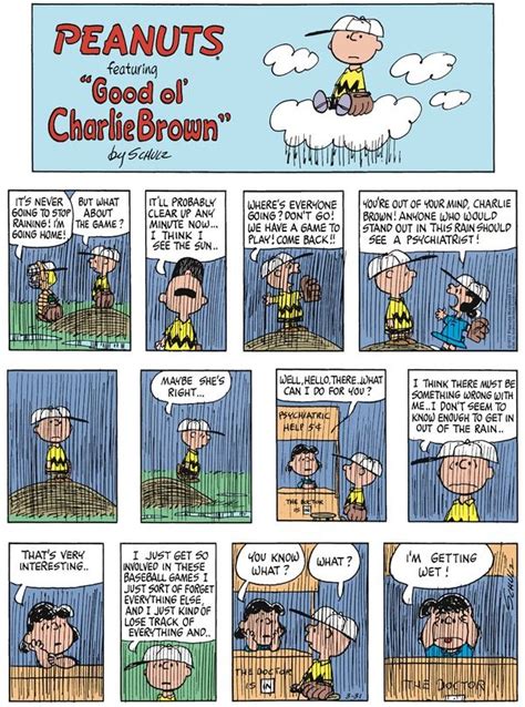 Peanuts Comic Strip About Charlie Brown