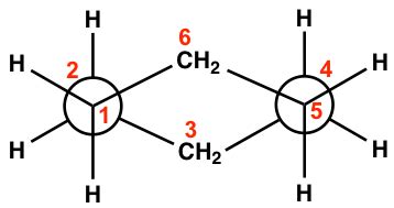 Draw Newman Projections Cyclohexane