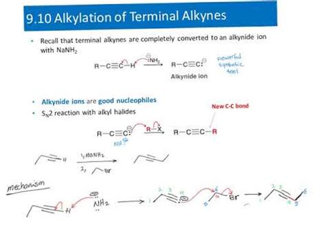 Alkylation Of Terminal Alkynes Youtube