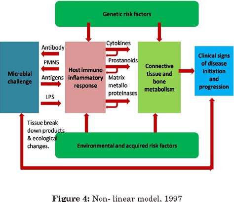 Models Of Periodontal Pathogenesis Semantic Scholar