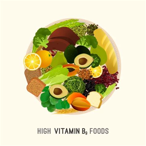 Folic Acid Vitamin B9 Rich Food Icons Healthy Vector Image