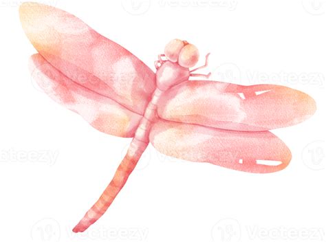 Dragonfly Watercolor Illustration 9660064 Png