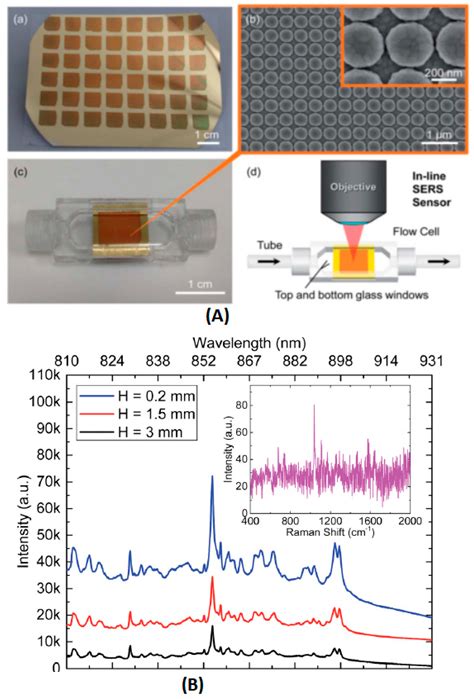 Sensors Free Full Text Novel Surface Enhanced Raman Spectroscopy