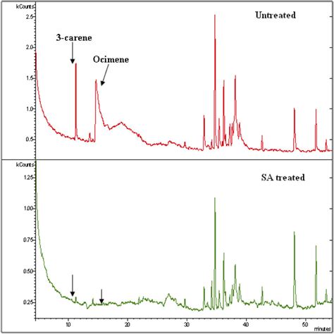 Gcms Chromatogram Of Untreated And Sa Treated Totapuri Fruit Volatiles