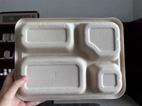 Biodegradable Compostable Paper Bagasse Tableware Lunch Box