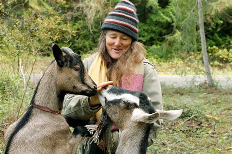 Home For The Kids Whidbey Woman Takes In Two Goats Deemed Lost Cause