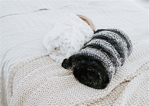 New Arrivals – Shake Rattle & Sew