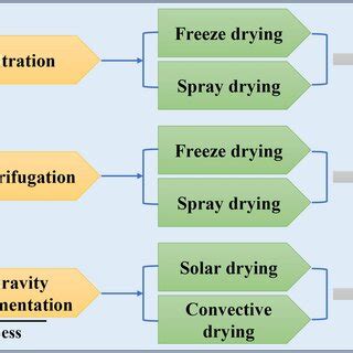 Processes of microalgae harvesting and drying for different end ...