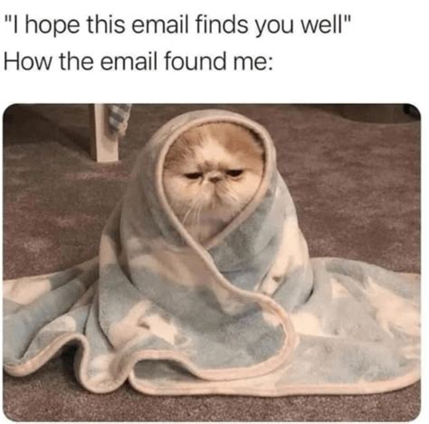 Hope This Email Finds You Well R Catmemes