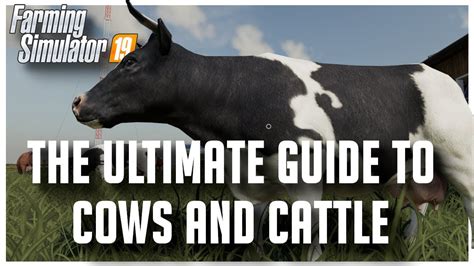 The Ultimate Guide And Tutorial To Cows In Farming Simulator 2019 YouTube