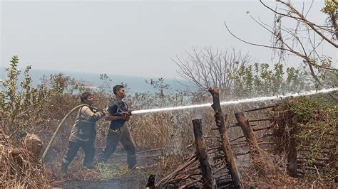 Ada Ratusan Peristiwa Kebakaran Di Lotim Sepanjang 2023 INSIDELOMBOK