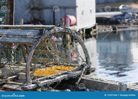 Lobster Trap Stock Photo Image Of Reflection Water