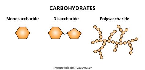 Monosaccharides Structure