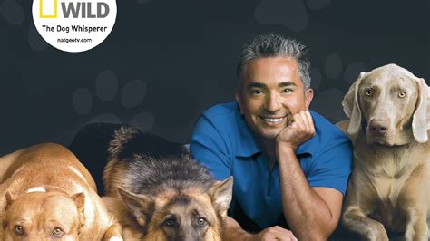 Cesar's Way by Cesar Millan - Books - Hachette Australia