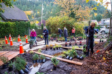 Build Rain Gardens In This Climate Emergency Era Sfu News Simon