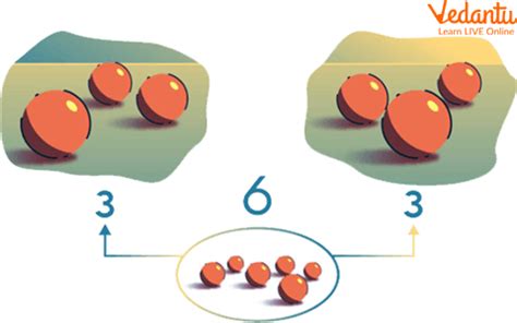 Difference Between Even Numbers And Odd Numbers Shop