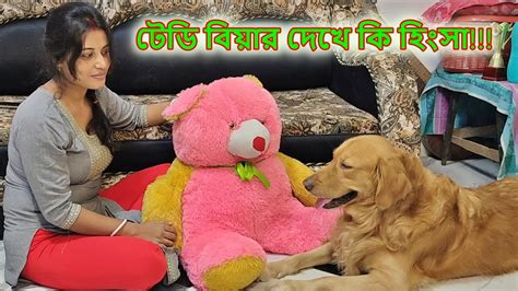 টেডি বিয়ার দেখে গোলু যা করলো Golu Reaction On Teddy Bear Golus