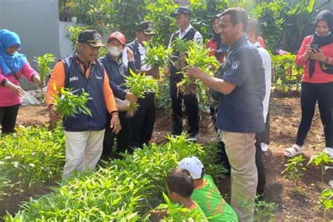 Pemkot Jakarta Timur Berikan Edukasi Penghijauan Kepada Anak Usia Dini