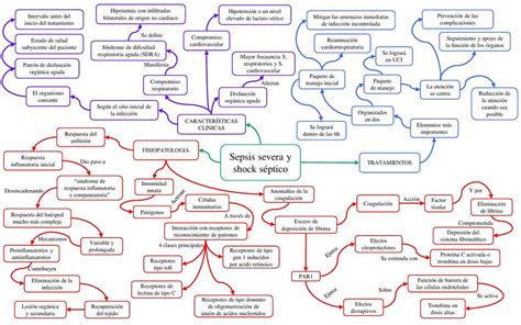 Esquema De Sepsis Severa Y Shock S Ptico Liquidoh Udocz