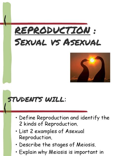 Sexual Reproduction And Meiosis Pdf Meiosis Sexual Reproduction