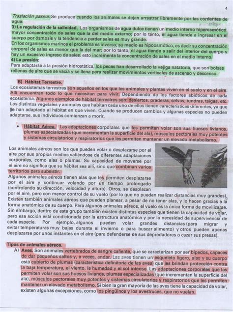 Solution Biologia Resumen Adaptaciones Studypool