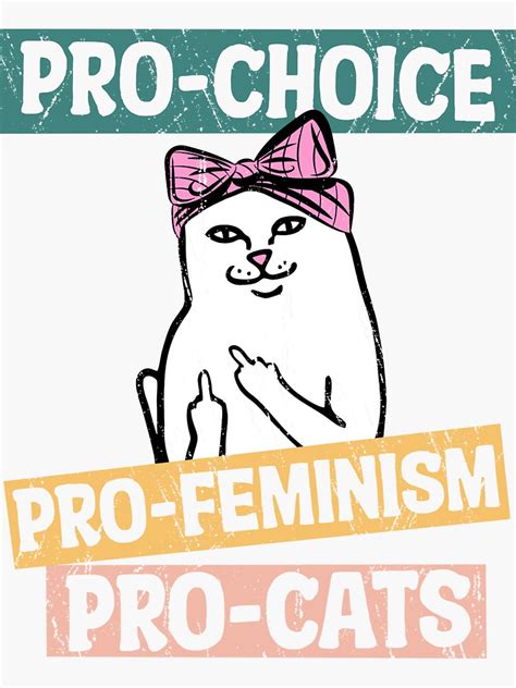 Pro Choice Pro Feminism Pro Cats T Shirt • Pro Choice Tee • Pro Cats