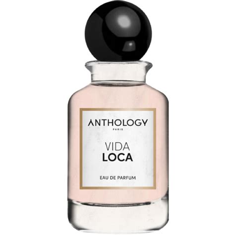 Vida Loca by Anthology » Reviews & Perfume Facts