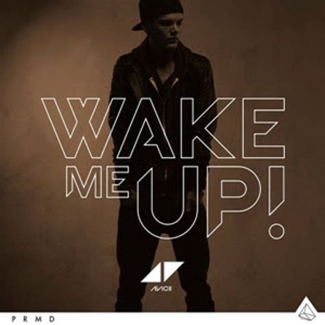 Stream Avicii Feat Aloe Blacc Wake Me Up Extended Mix By Edmpromotionalsc Listen Online