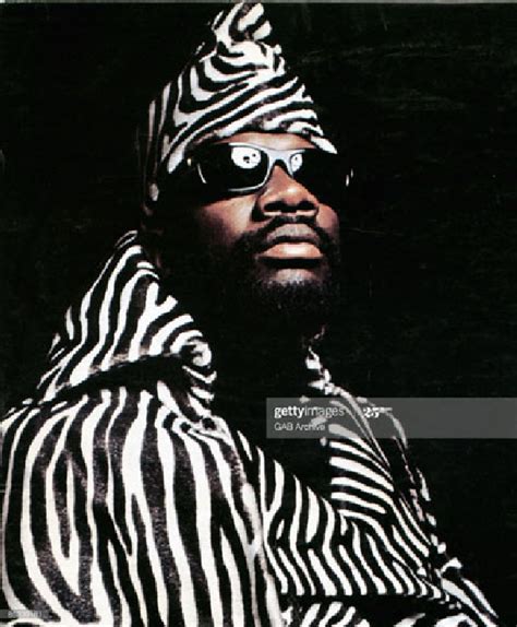 Figure The Eclectic Style Of Isaac Hayes Photo By Gab Download