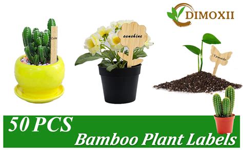 Dimoxii Pcs Tiquettes Plantes En Bambou Pour Plantes Marqueurs