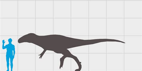 Eustreptospondylus Ancient Animals Wiki Fandom Powered By Wikia