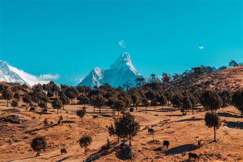 Everest Base Camp Chola Pass Gokyo Lake Trek Days