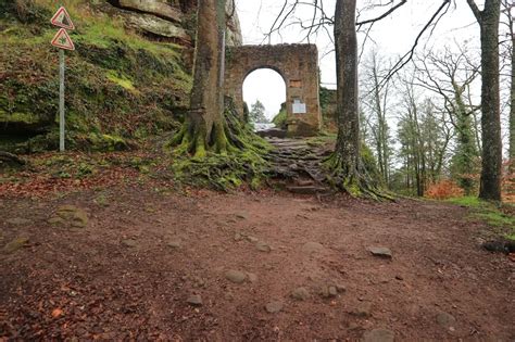 Ch Teau Du Falkenstein Kasteel In De Bossen Van De Noordelijke Vogezen