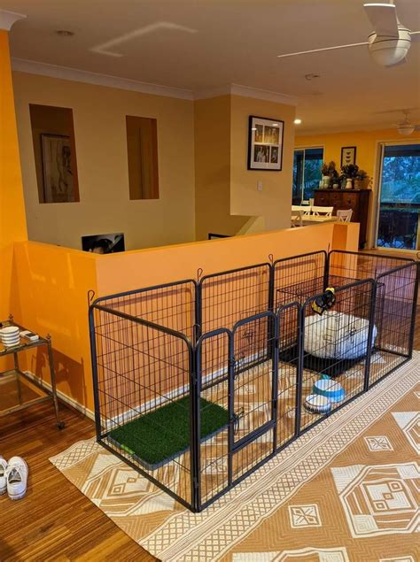 Pin On Pugs Dog Rooms Dog Playpen Indoor Puppy Room