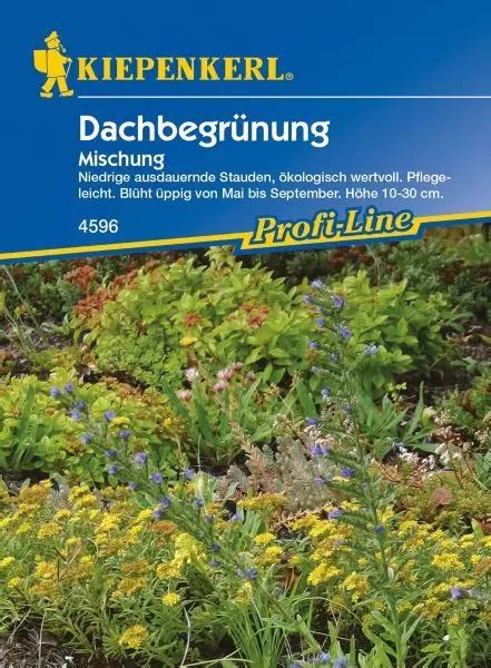 Kiepenkerl Blumenmischung Dachbegr Nung Gartenwelt