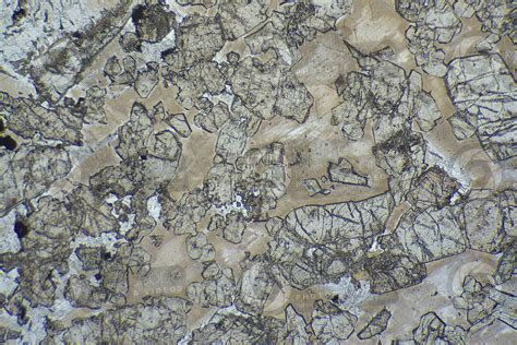 Nero Africa Granite South Africa Thin Section In Plane Polarized