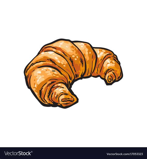 Sketch Fresh French Croissant Isolated Royalty Free Vector