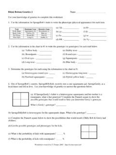 Bikini Bottom Genetics Name Biology Junction Bikini Bottom Genetics Name Biology
