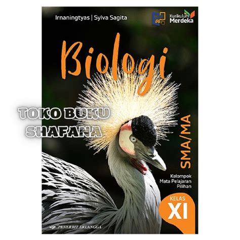 Buku Biologi Kelas Xi Sma Erlangga Kurikulum Merdeka Kurmer