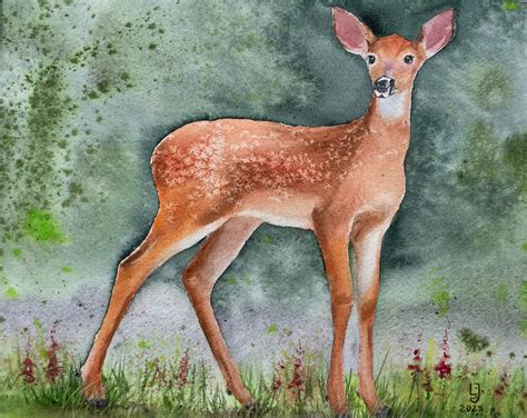 Watercolor Deer Paintings